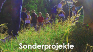 Quo Vadis Jugendhilfe Betreuungsstellen Sonderprojekte