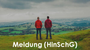 Quo Vadis Jugendhilfe Meldung HinSchG Quo Vadis Jugendhilfe Meldung HinSchG
